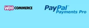 PayPal Payments Pro