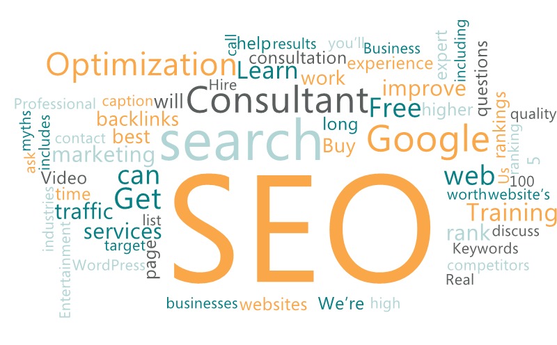 SEO Consultant for Website Search Engine Optimization (SEO)