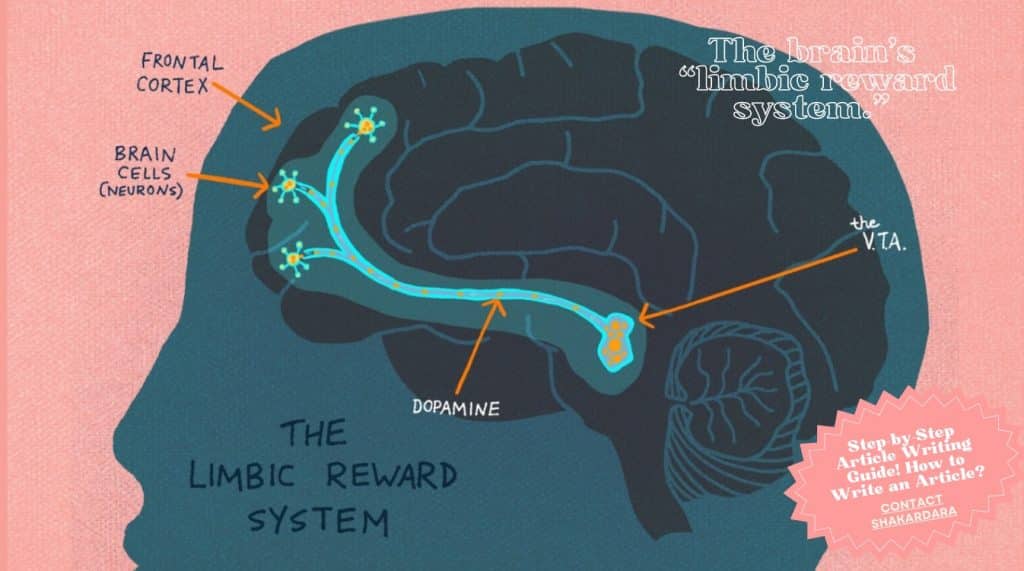 It is the brain’s “limbic reward system.”